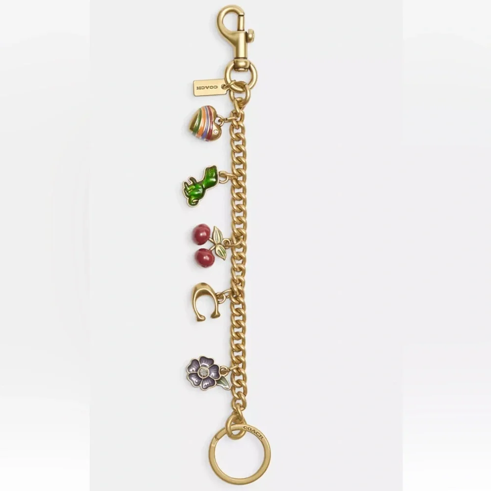NWT Coach Motif Chain Bag Charm Rexy Tea Rose Cherries Heart Brass Mult…